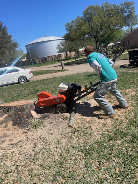 R&D Tree services & Fences Image